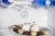 SCANDILUX R711EZ12B Детальное фото товара: SCANDILUX R711EZ12B