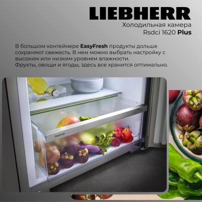 Детальное фото товара: Liebherr Rsdci 1620-20 001 Plus