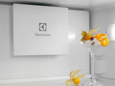 Детальное фото товара: Electrolux ENT6MD19S3